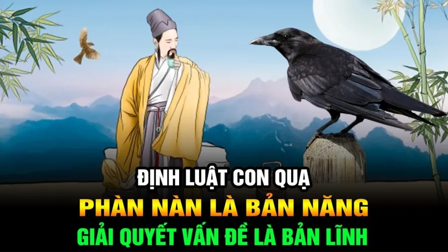 Định luật con quạ trong đời sống