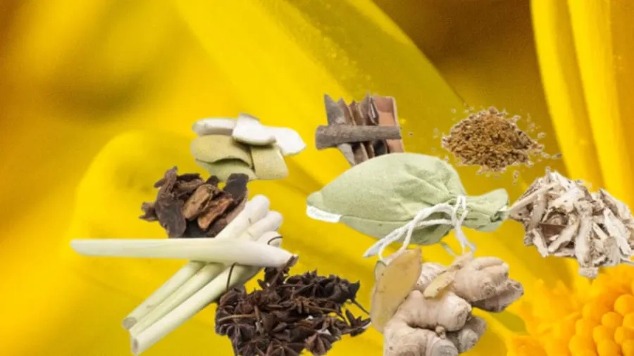Nhiều thảo mộc quen thuộc trong bếp giúp thanh tẩy không gian