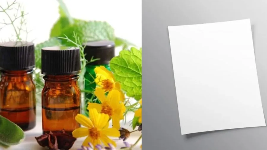 Các loại tinh dầu giúp thanh lọc không khí