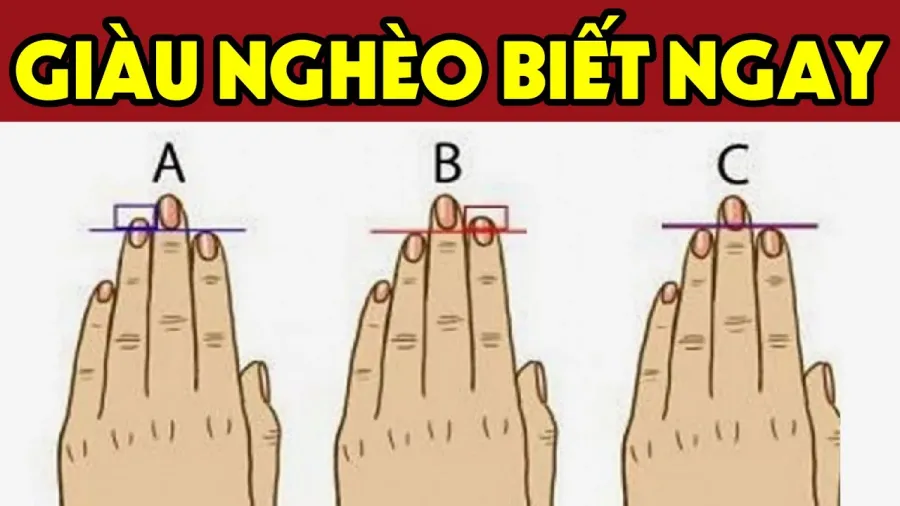 Tướng bàn tay giàu có