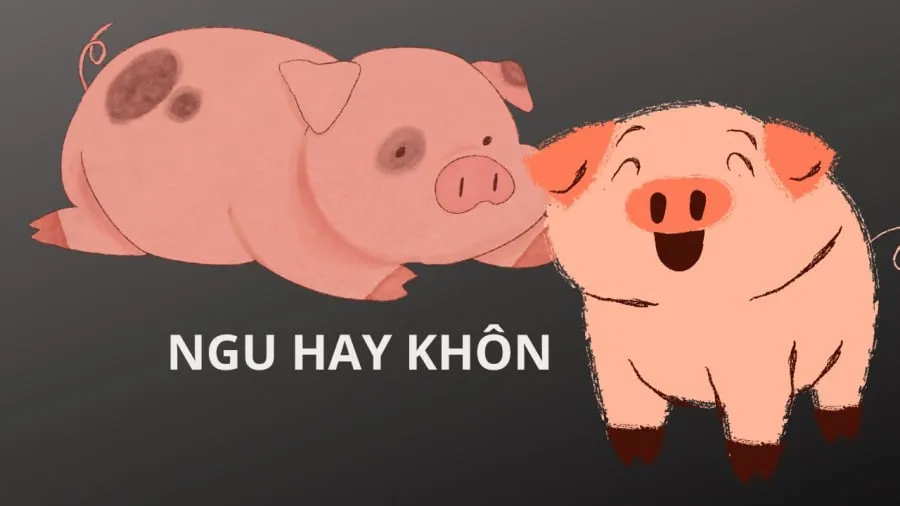 Hóa ra lợn thông minh hơn chúng ta tưởng