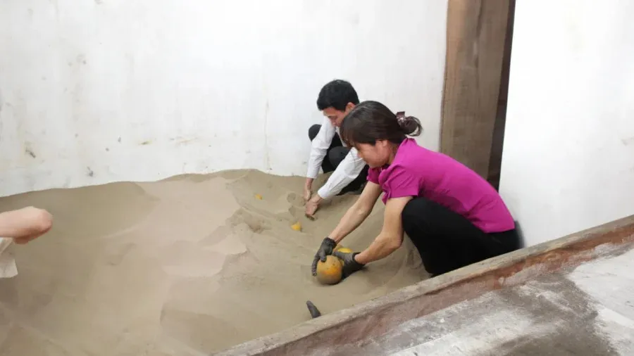 Vùi bưởi vào trong cát là kinh nghiệm hay