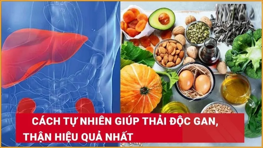 Thải độc gan thận đều đặn bằng thực phẩm, lối sinh hoạt đóng vai trò quan trọng