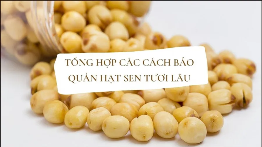 baoquanhatsenphunutoday