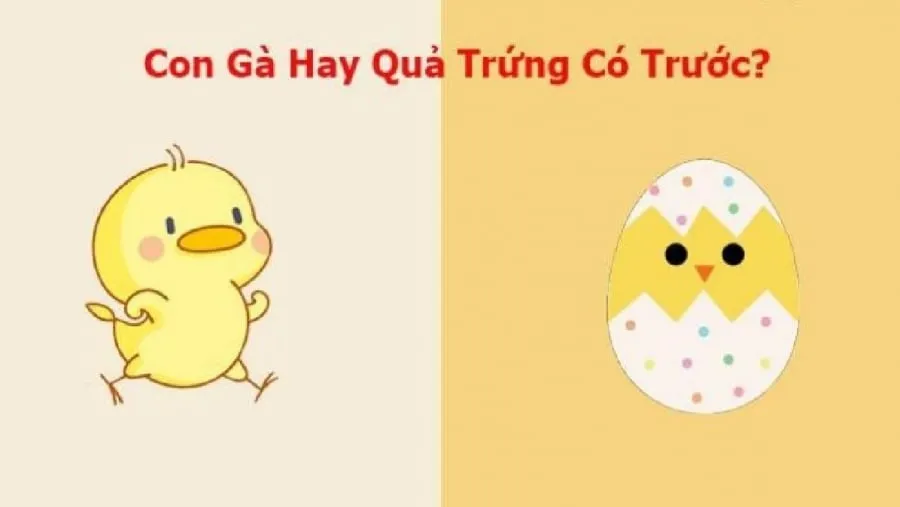 con-ga-co-truoc-hay-qua-trung-co-truoc-dap-an-chinh-xac-da-duoc-khoa-hoc-chung-minh_1623721166