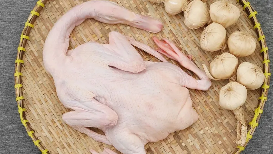 vit-luoc-01
