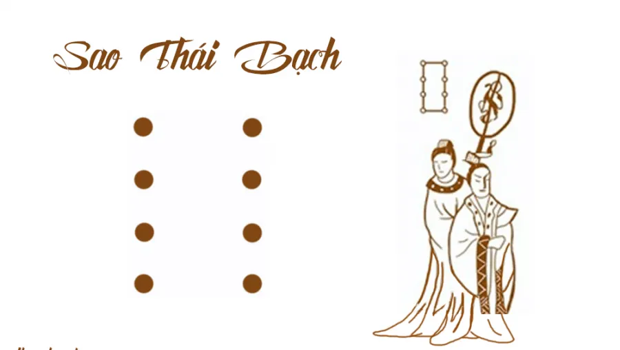 sao-thai-bach-01