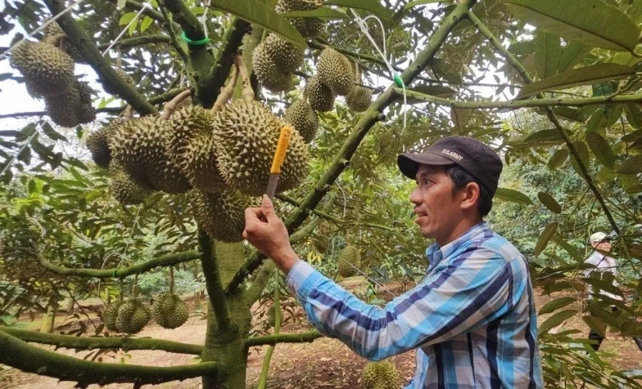 Một trong những nghề 