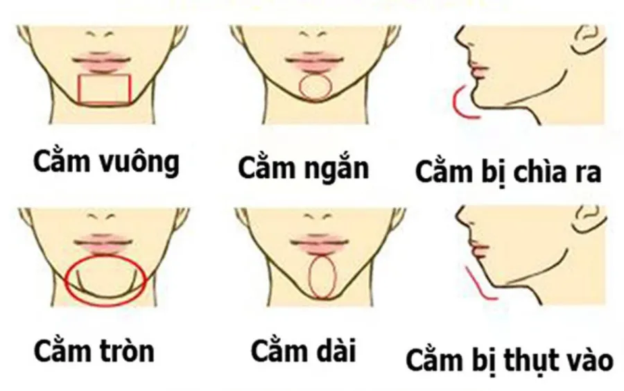 Tướng cằm cho biết tương lai bạn như thế nào