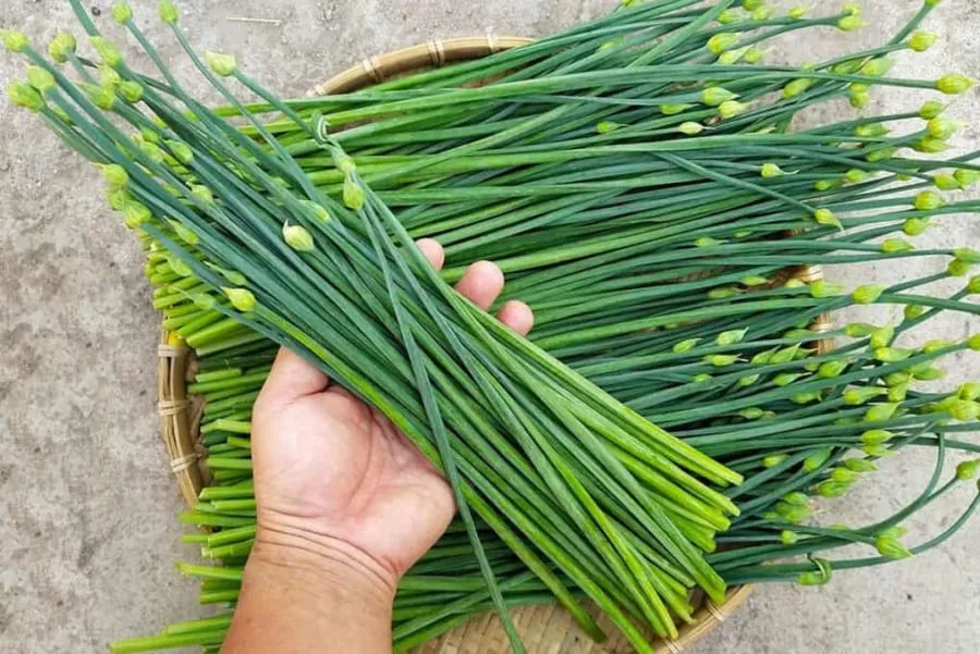 Hẹ cũng là nguyên liệu cay, ngọt, có tính ấm và không độc nên được ví như “vị thuốc tự nhiên cho gan