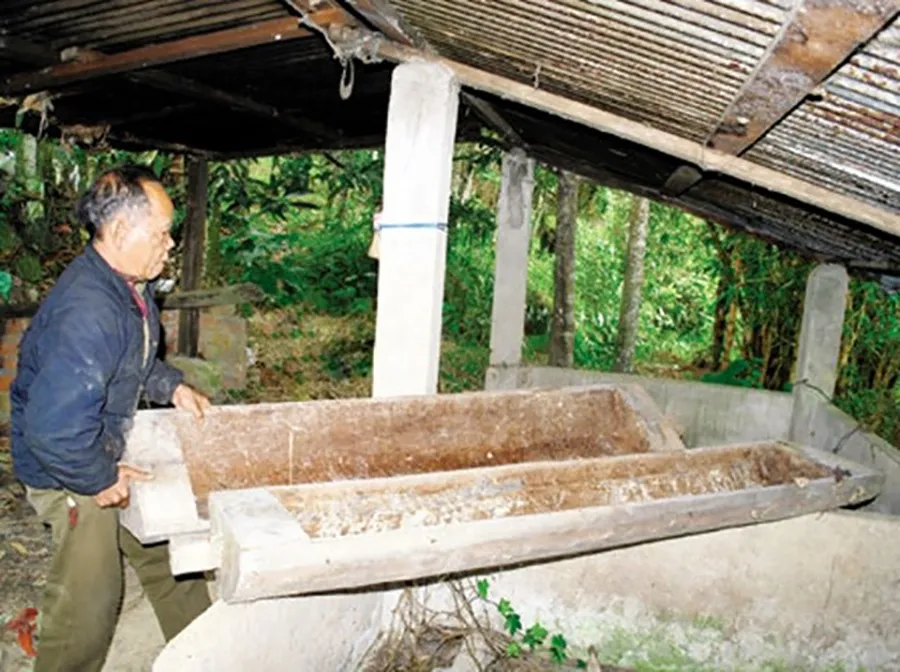 doc-la-noi-duy-nhat-tang-quan-tai-trong-ngay-cuoi-kho-tin-nhung-co-that-o-viet-nam-3