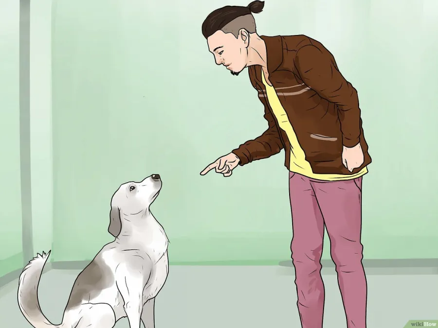 v4-1200px-Stop-Your-Dog-from-Barking-at-Strangers-Step-11