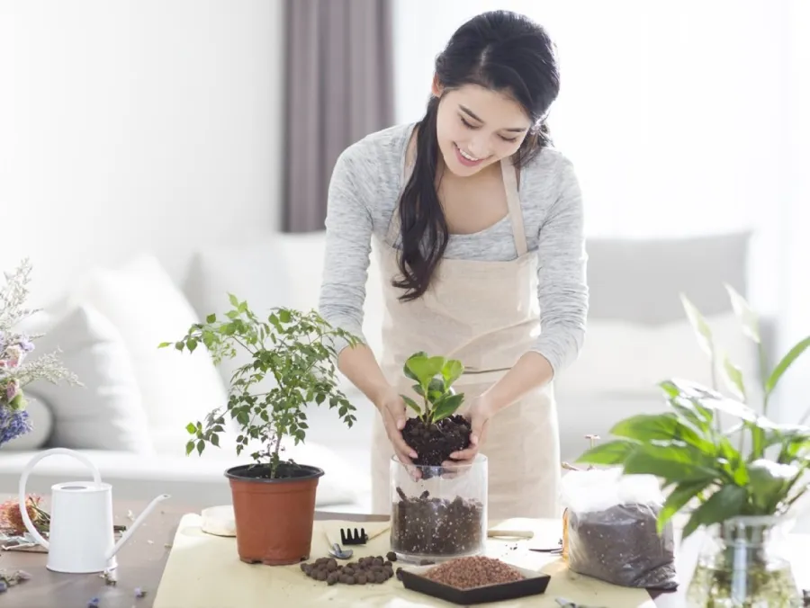 Thời gian chăm sóc cây không lấy đi của bạn nhiều hơn 5 phút mỗi ngày nhưng những gì mà nó mang lại thì không thể đong đếm được.