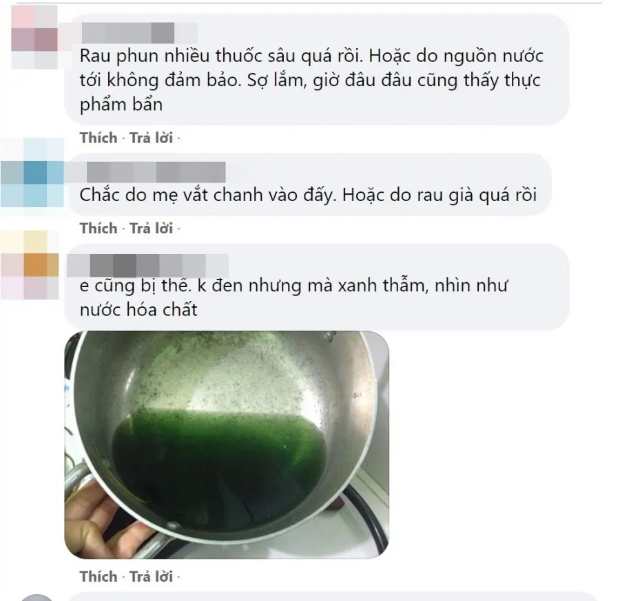 nuoc-rau-muong-luoc-den-si-tranh-cai-do-phun-thuoc-hay-vat-chanh-ed0-5701511